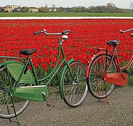Katwijk アパート カトウェイク・アーン・ゼー