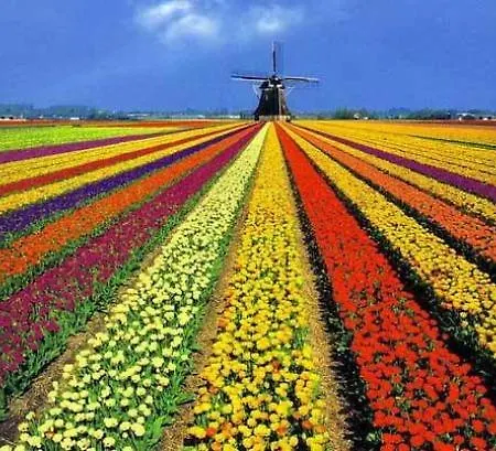 Katwijk * カトウェイク・アーン・ゼー