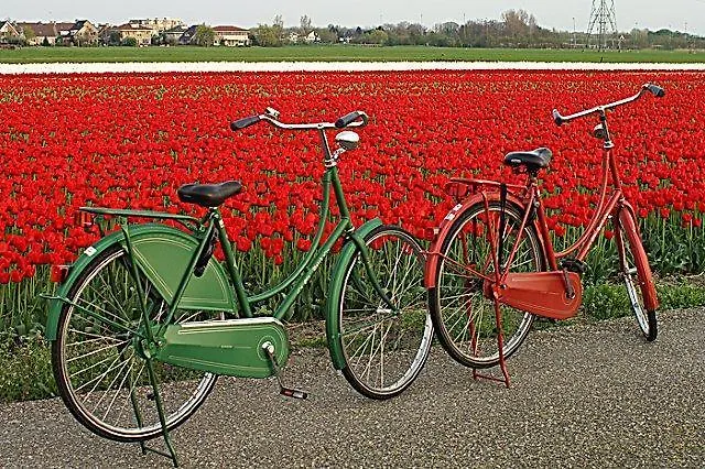 Katwijk Apartamento Katwijk aan Zee