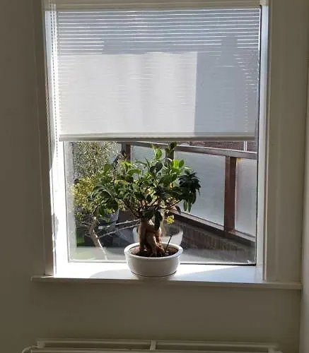 Appartement Katwijk Katwijk aan Zee